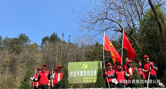 黨建強引領，共植先鋒林